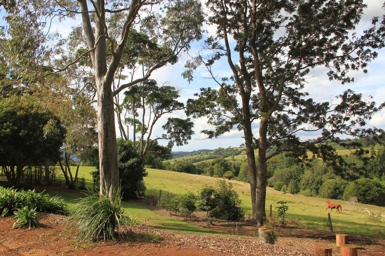 "Seasons Of Maleny B&B" Exterior photo