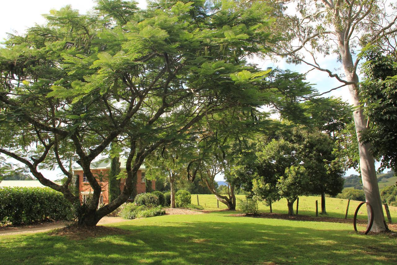 "Seasons Of Maleny B&B" Exterior photo