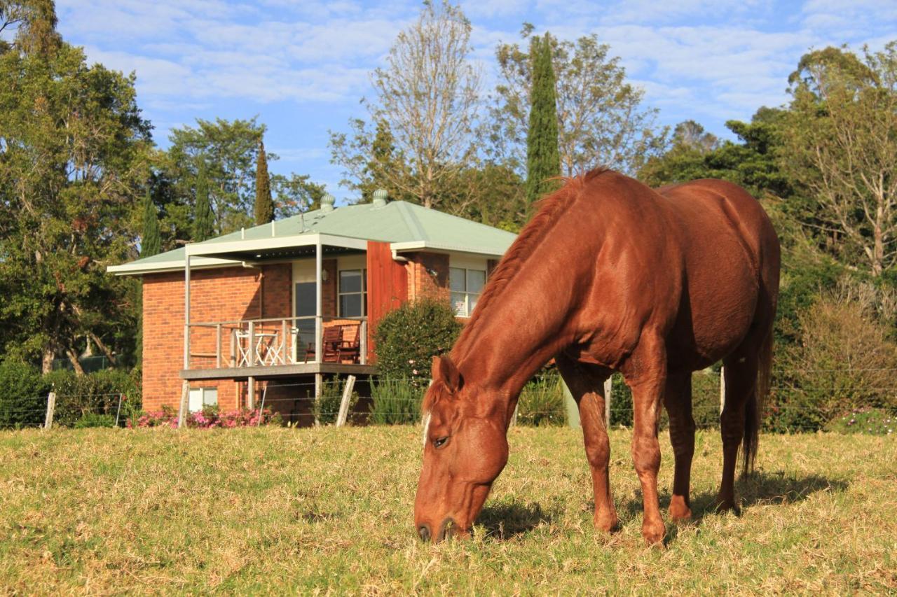 "Seasons Of Maleny B&B" Exterior photo